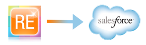 Raiser edge to salesforce migration